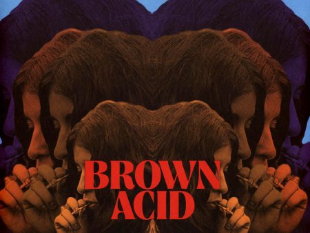 Various - Brown Acid: The Fourteenth Trip - LP For Discount