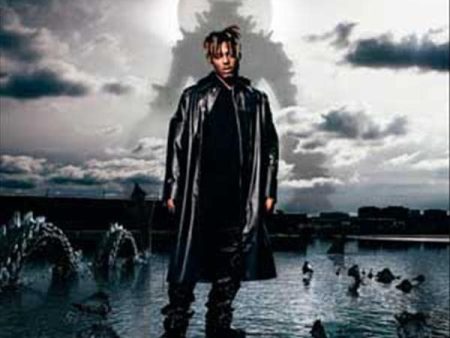 2LP - Juice Wrld - Fighting Demons Discount